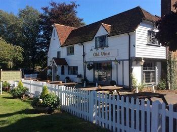 The Old Vine Inn Wadhurst Ngoại thất bức ảnh